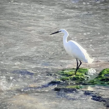 Διαμέρισμα Centro Blue