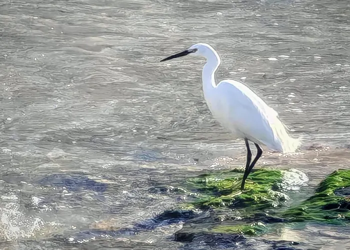Appartamento Centro Blue
